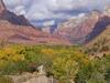   Canyon Vista Bed & Breakfast
